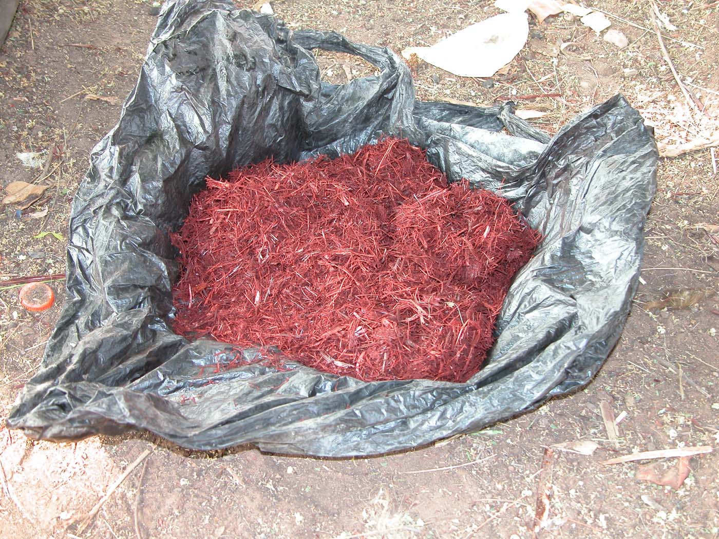Bright red millet is used as a dye